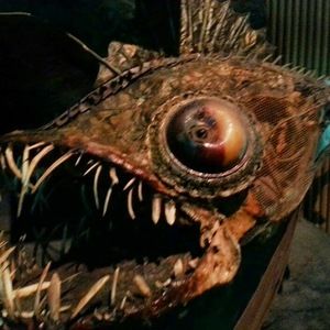 Meet your Posher, Sabrina